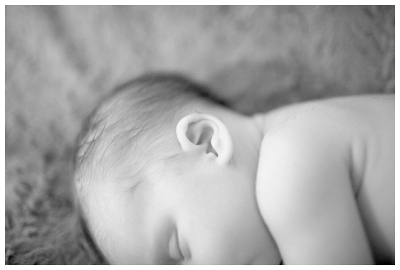 Shareeography, Colorado, Newborn Photographer, Baby photographer