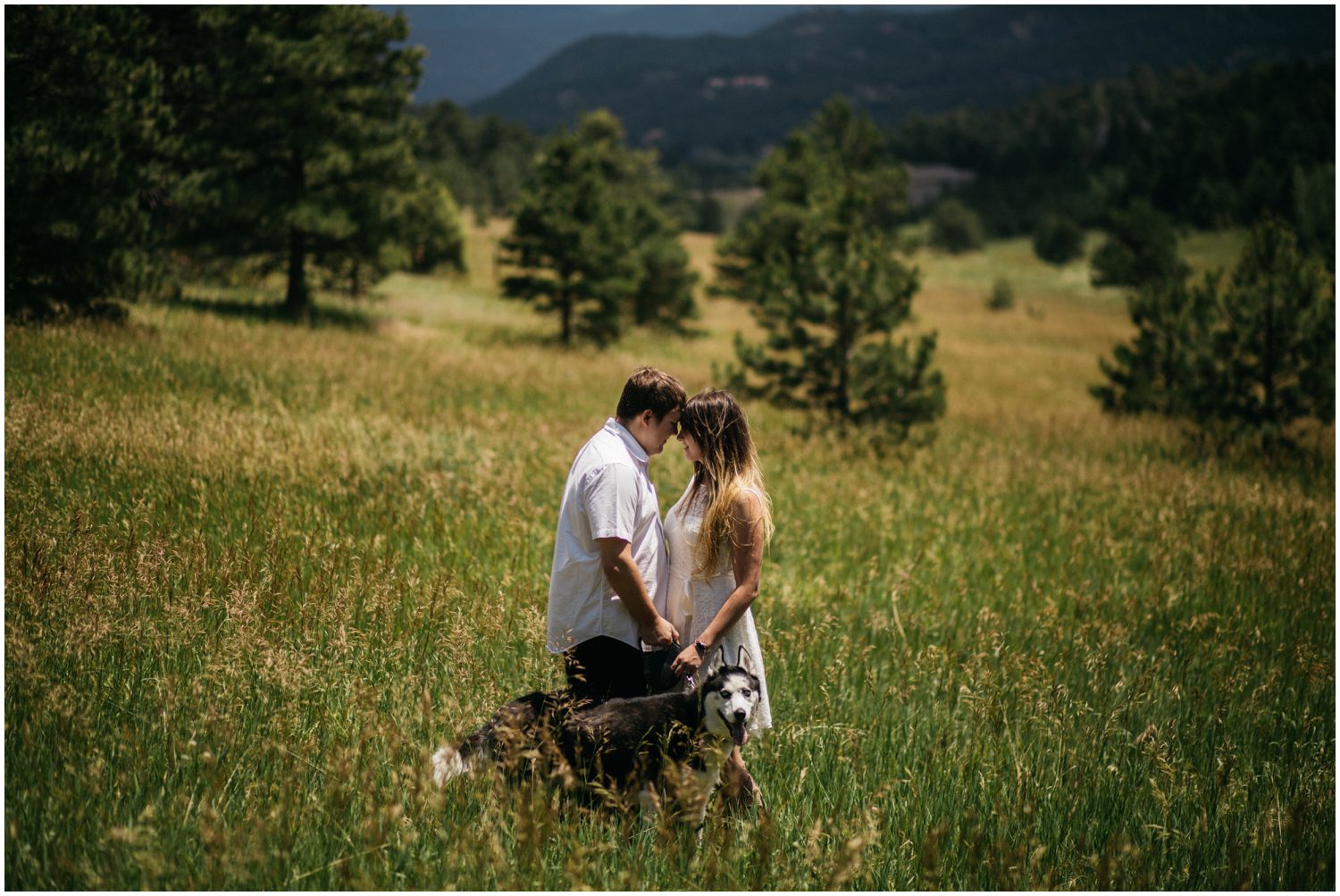 Evergreen Colorado Engagement Photos, Elk Meadow Open Space, Engagement Session locations Colorado