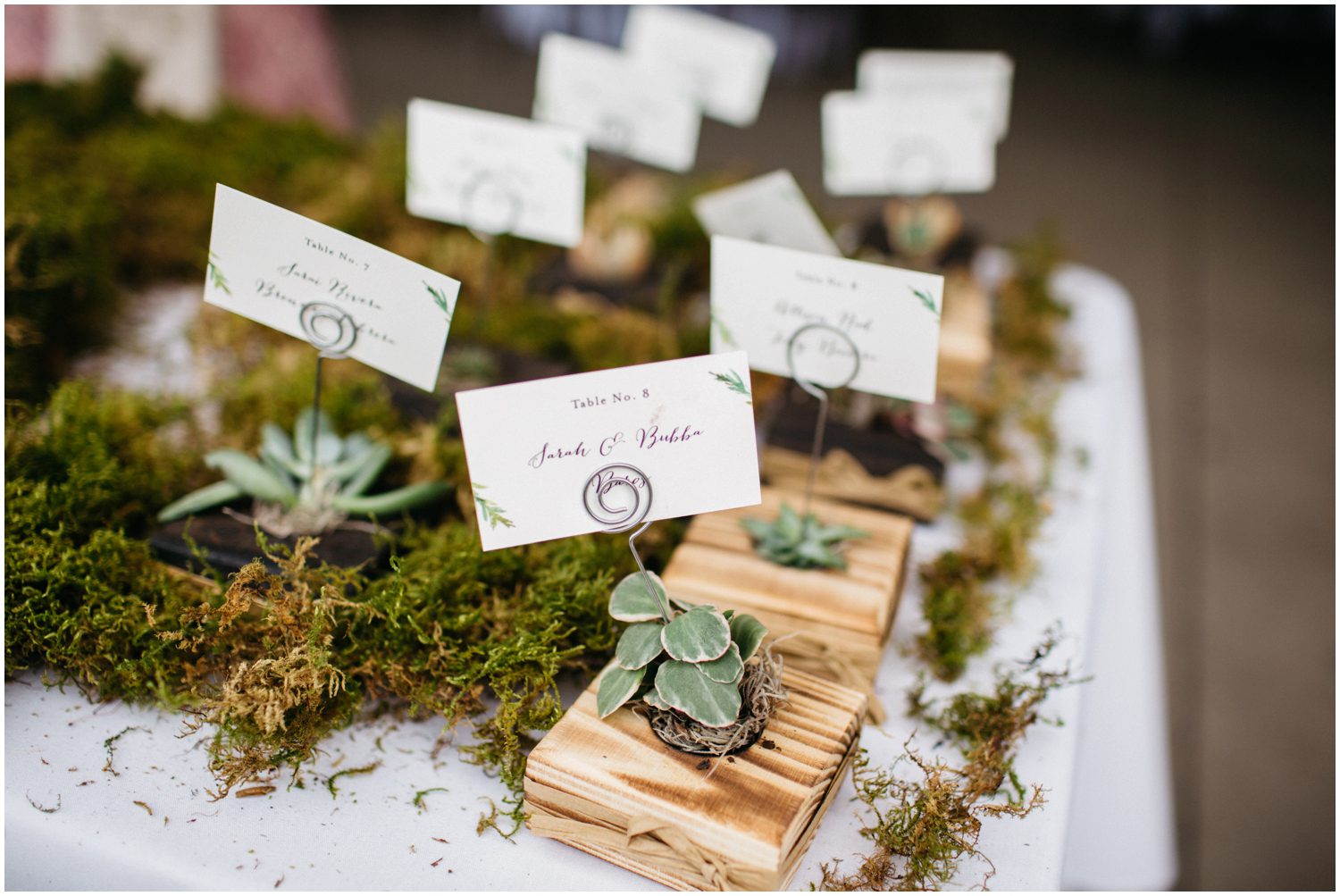 Wedding favors, wedding name cards, Succulent name cards, Moss wedding ideas, Arrowhead Golf Club, Colorado Wedding Photographer