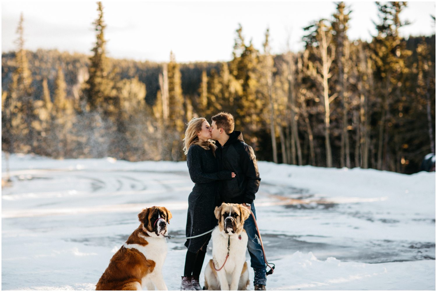 Engagement Session at Brainard Lake in Boulder Colorado  Boulder Colorado engagement photos, Boulder Colorado Photographer, Boulder Wedding Photographer, Boulder engagement photographer, Boulder engagement photos, Engagement session locations in Boulder, Colorado winter engagement session, Winter engagement photos, Mountain engagement session, Snowy engagement photos, Engagement photos with dogs, Save the date, Save the data photo ideas, Photo session with dogs, St Bernard, Brainard Lake, Colorado, Boulder Colorado, Nederland Colorado, Ward Colorado, Colorado wedding, Colorado photographer