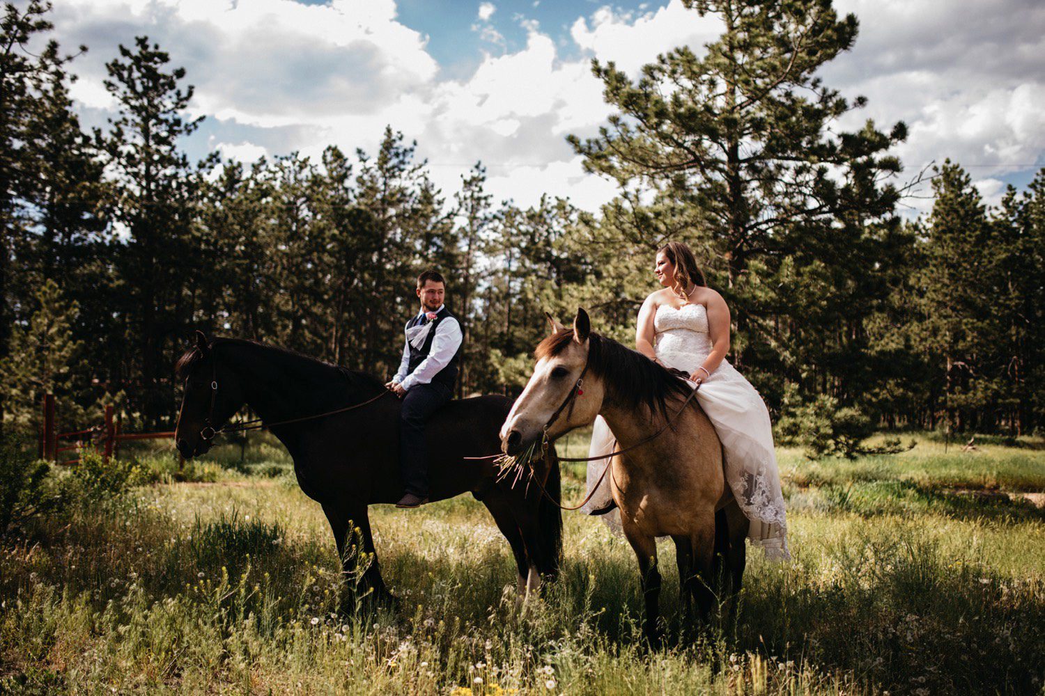 Sun Dance Trail Ranch Wedding Photos, Colorado Wedding Photographer, Sun Dance Trail Ranch Wedding, Red Feather Lakes Colorado Wedding, Fort Collins Wedding Photographer, Northern Colorado Wedding Photographer, Ranch Wedding in Colorado, Affordable Colorado Wedding, Affordable Photographers in Colorado, Delicioso Longmont Colorado, Downtown Cantina Longmont Colorado, Wedding with dogs, Rustic Wedding Inspiration, Colorado Wedding