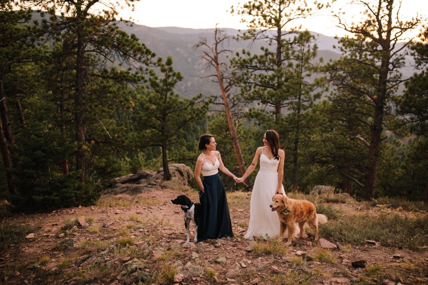 Same sex elopement with dogs at Artist Point on Flagstaff Mountain in Boulder